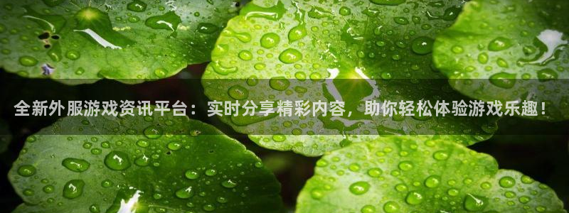 欧博娱乐平台官网注册：全新外服游戏资讯平台：实时分享精彩内容