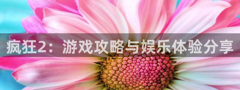 欧博娱乐娱乐是真的吗：疯狂2：游戏攻略与娱乐体验分享