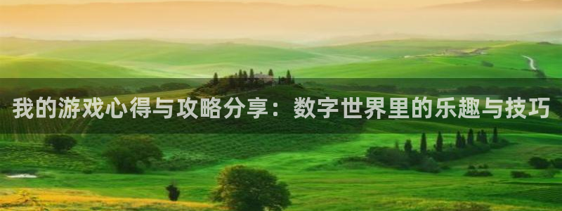 欧博娱乐咨询：我的游戏心得与攻略分享：数字世界里的乐趣与技巧