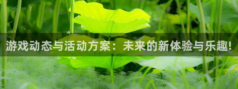 欧博娱乐娱乐是真的吗：游戏动态与活动方案：未来的新体验与乐趣