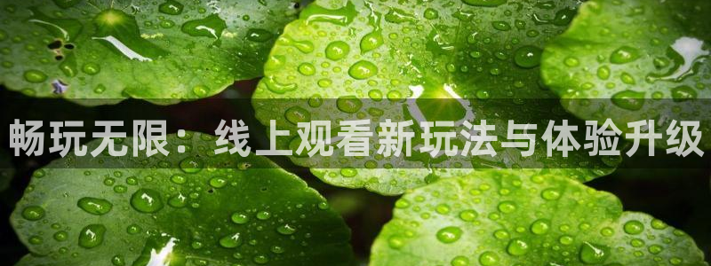 欧博娱乐平台官网登录：畅玩无限：线上观看新玩法与体验升级