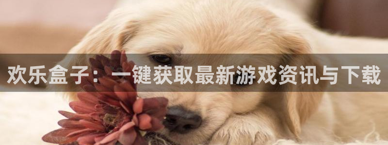 欧博娱乐开户测速：欢乐盒子：一键获取最新游戏资讯与下载