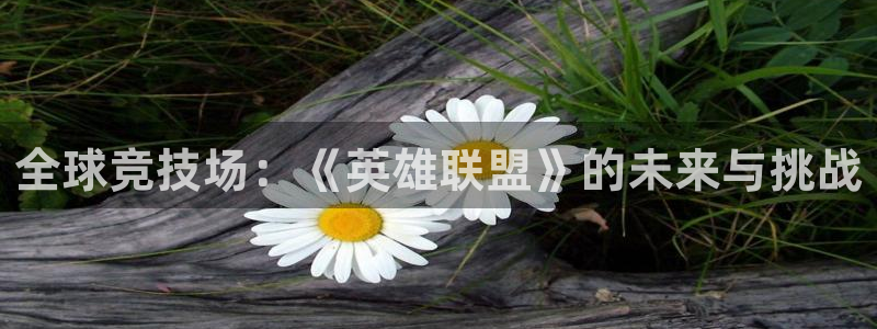 欧博娱乐：全球竞技场：《英雄联盟》的未来与挑战