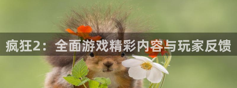 欧博娱乐平台负责人：疯狂2：全面游戏精彩内容与玩家反馈