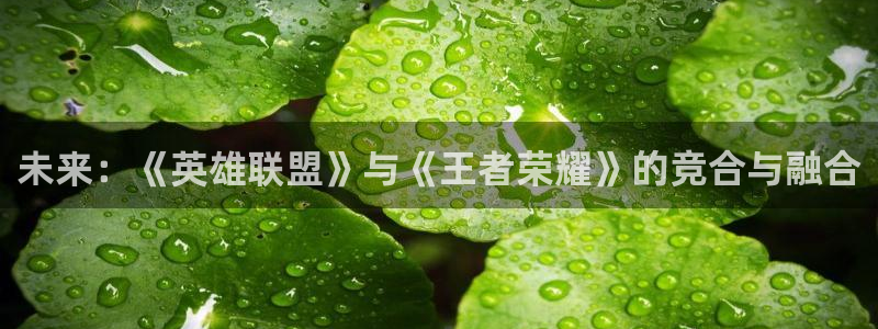 欧博娱乐直属：未来：《英雄联盟》与《王者荣耀》的竞合与融合
