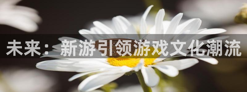 欧博娱乐怎么注册：未来：新游引领游戏文化潮流