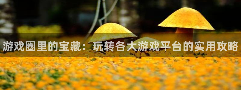 欧博娱乐注册官方登录app：游戏圈里的宝藏：玩转各大游戏平台
