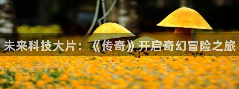 欧博娱乐注册地址：未来科技大片：《传奇》开启奇幻冒险之旅