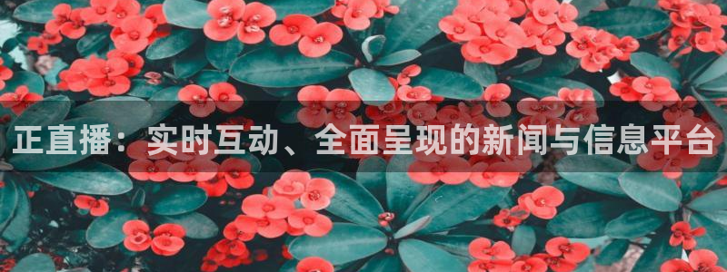 新闻图片