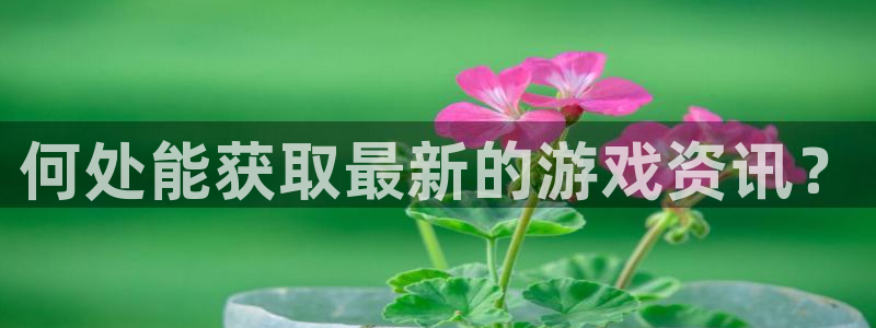 欧博官网网址是多少