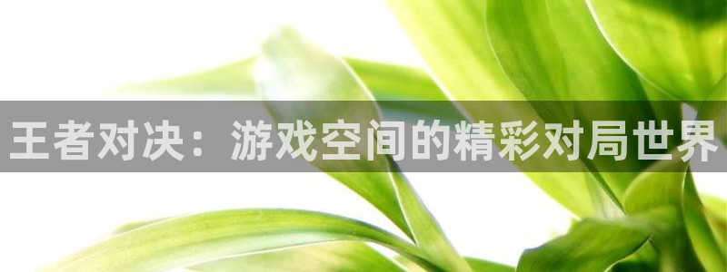 欧博平台正规吗