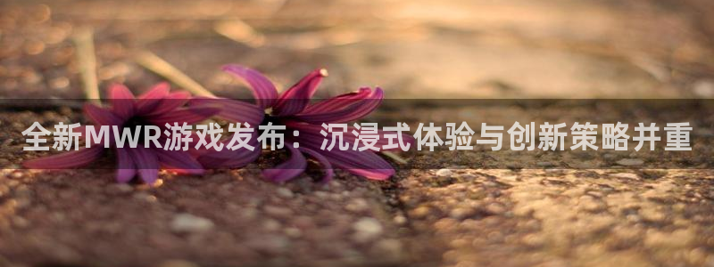 欧博网站是好多网站