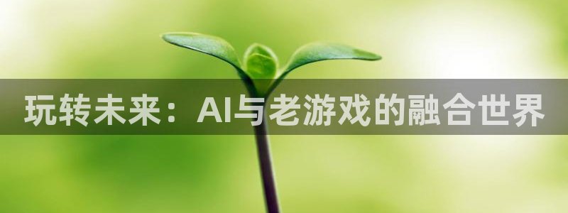 欧博集团有限公司