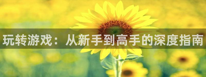 欧博游戏官网